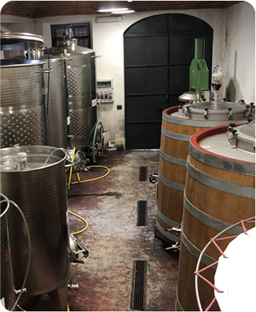 Meet Our Passionate Winemakers