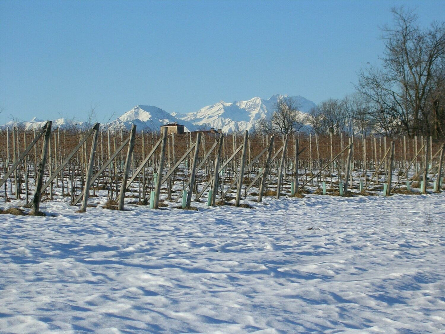 "Ghemme Riserva" LA TORRETTA, Ghemme DOCG 2012