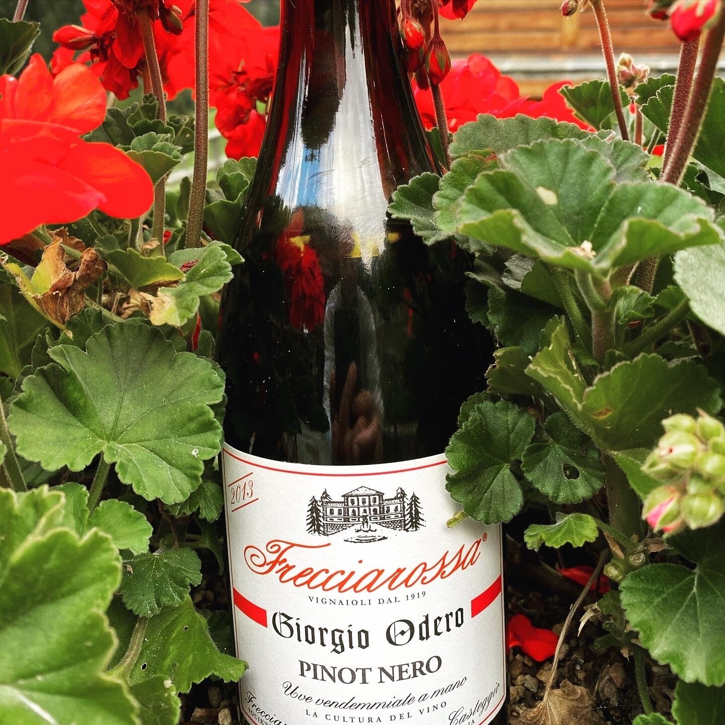 "Giorgio Odero" FRECCIAROSSA, Oltrepò Pavese DOC Pinot Nero 2013