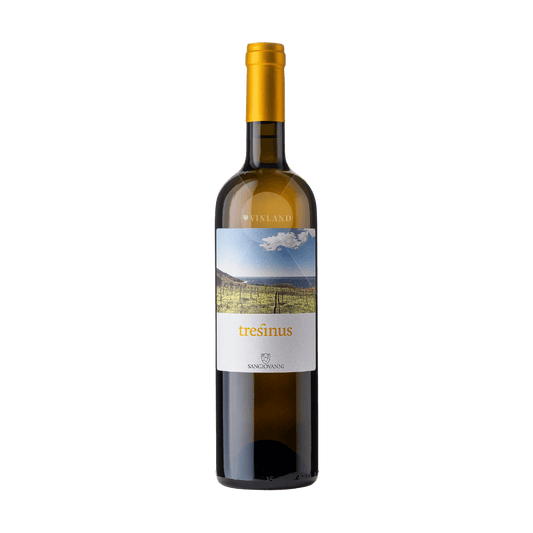 "Tresinus" SAN GIOVANNI, Paestum Fiano IGT 2021