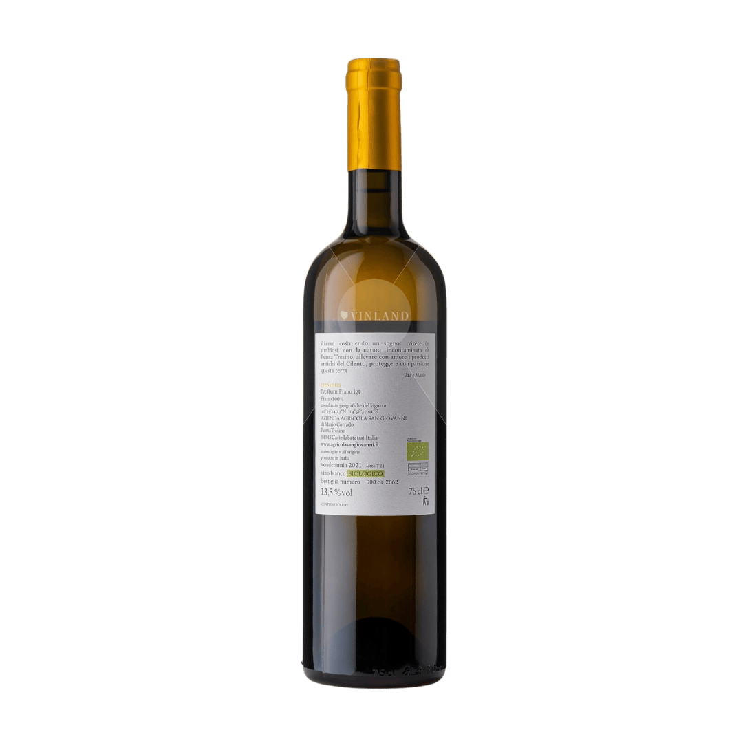 "Tresinus" SAN GIOVANNI, Paestum Fiano IGT 2021