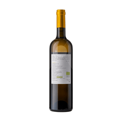 "Tresinus" SAN GIOVANNI, Paestum Fiano IGT 2021