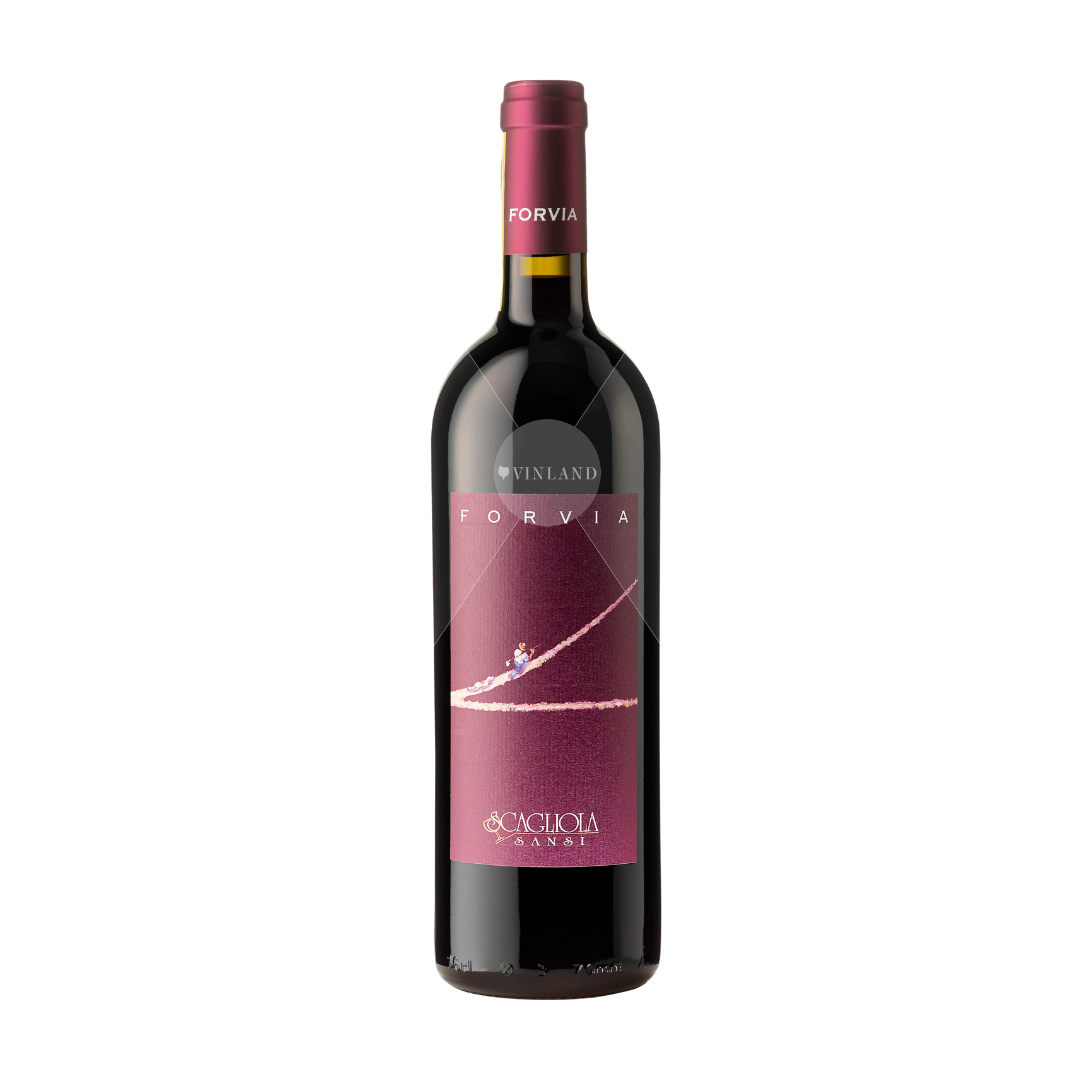 "Forvia" SCAGLIOLA SANSI', Nizza DOCG 2022