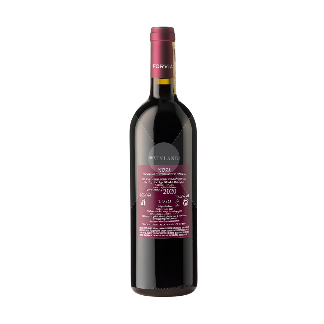"Forvia" SCAGLIOLA SANSI', Nizza DOCG 2022