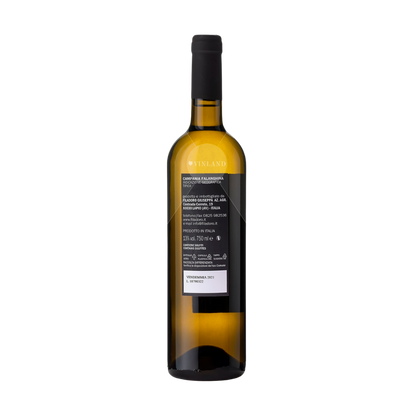 Falanghina FILADORO Campania IGT